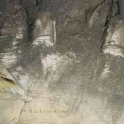 Niellerade Fallibilisthorstar : Hackelsekista